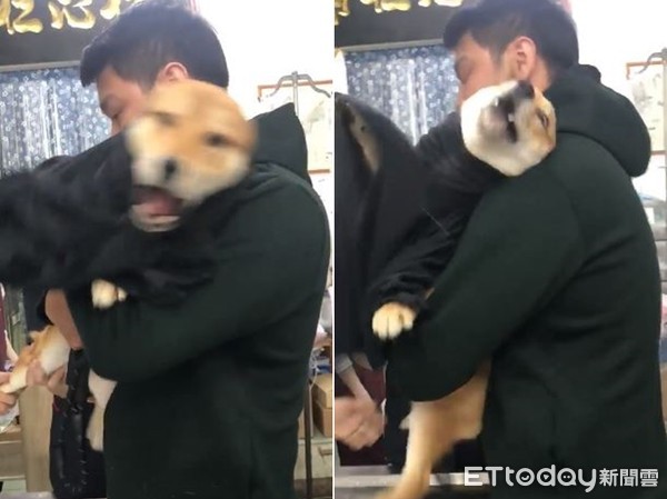 kaiyun开云网页版