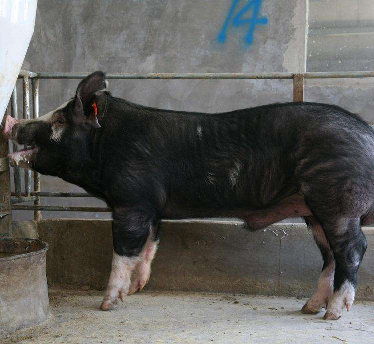 kaiyun开云官方在线登录