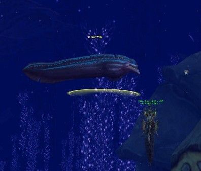 kaiyun开云网页版