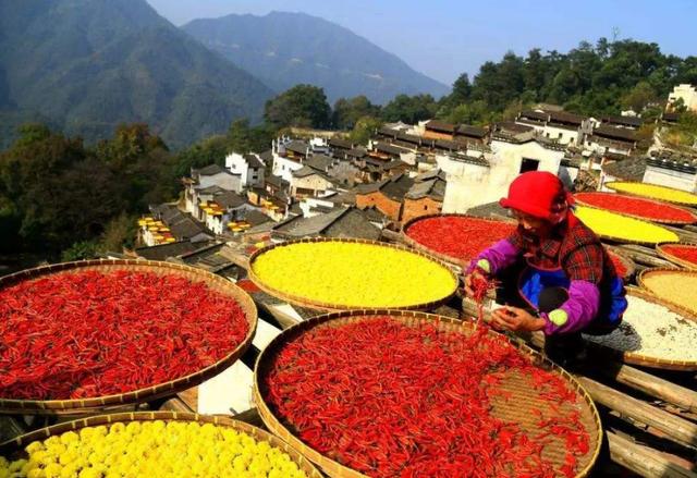 kaiyun开云网页版