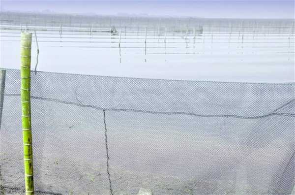 kaiyun开云官方在线登录