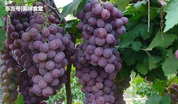 kaiyun开云网页版