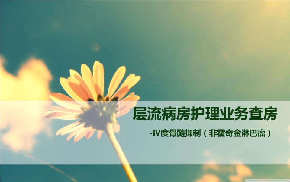 kaiyun开云网页版