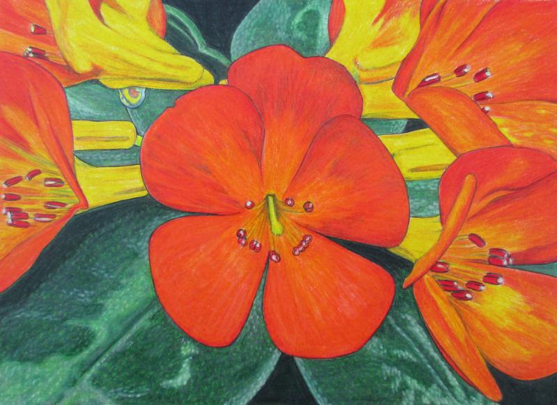 kaiyun开云网页版