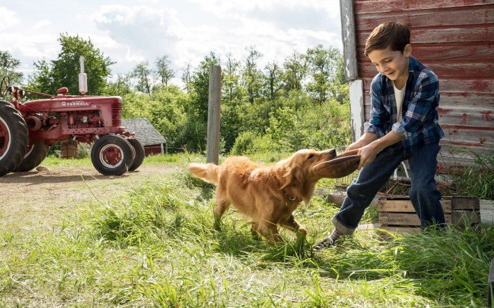 kaiyun开云网页版