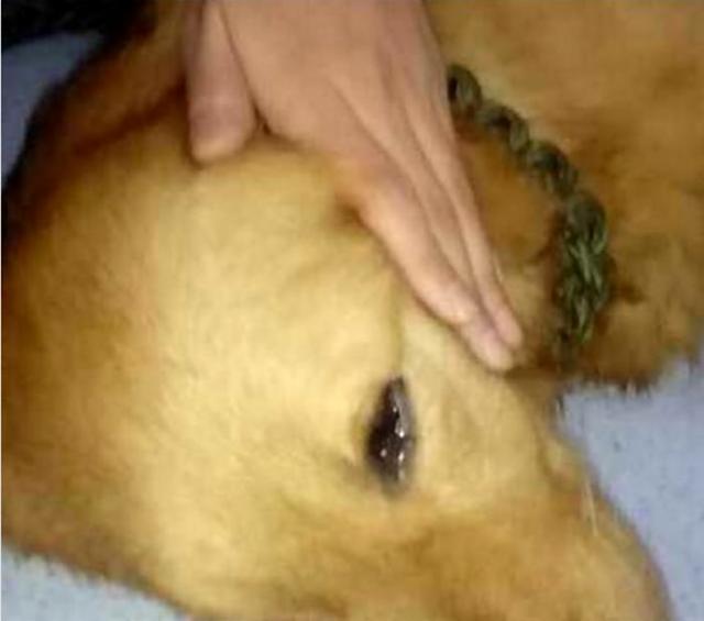 kaiyun网页登录入口