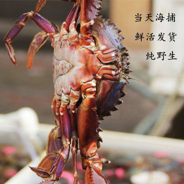 kaiyun开云官方在线登录:墨西哥前总统等五位外国前政要到访中国有色集团(图2) kaiyun开云官方在线登录