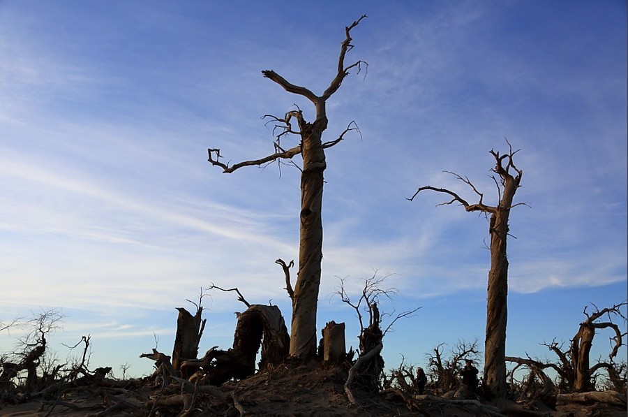 kaiyun开云网页版