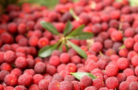 【kaiyun网页登录入口】2016年14月四川全省钒钛钢铁及稀土、有色金属、建材产业生产情况(图4) kaiyun网页登录入口