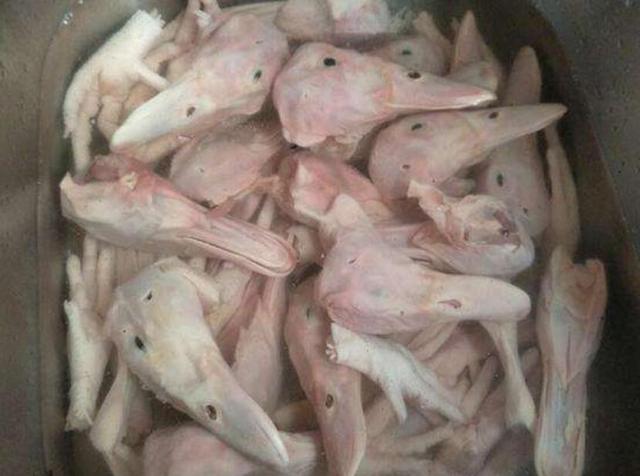 kaiyun网页登录入口