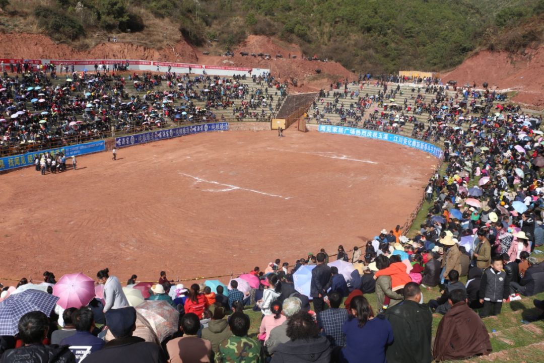 kaiyun网页登录入口