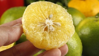 kaiyun开云官方在线登录