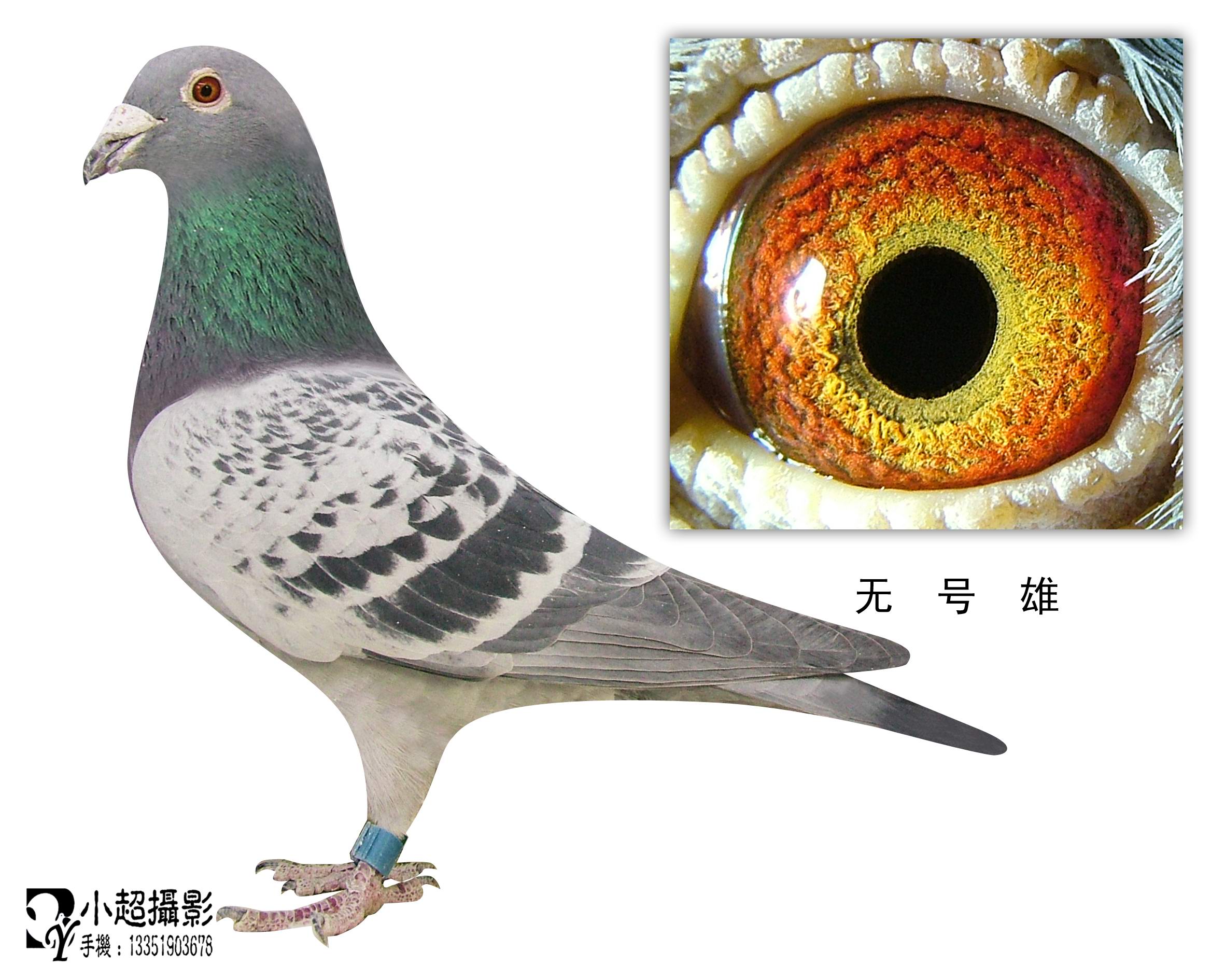 kaiyun网页登录入口