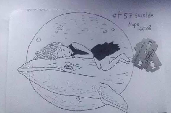 kaiyun开云网页版